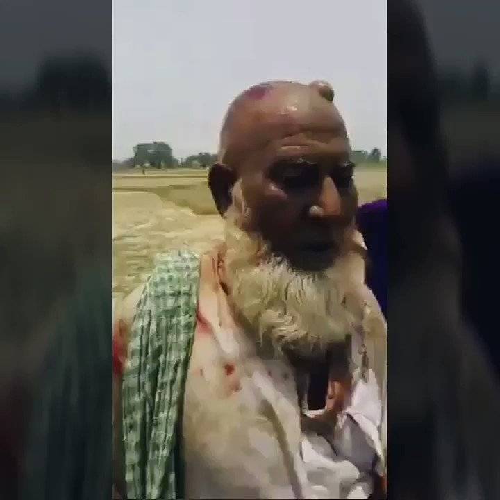 65-year-old Muslim beaten up as cow vigilantism upsurges in India