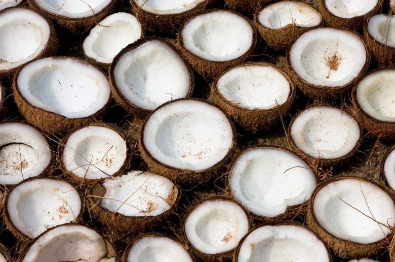 Top 6 health benefits of Coconut