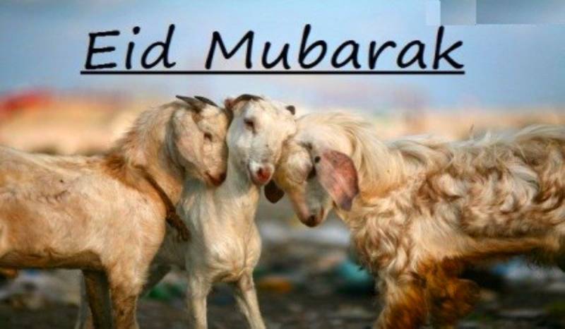 Meaty Festival 2018: Here are some special foods to celebrate Eid ul Adha