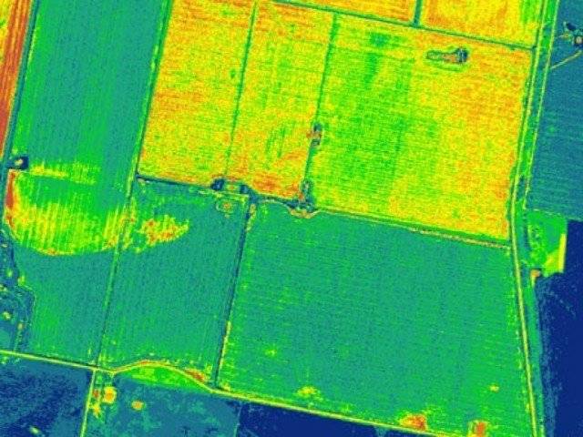 Pakistan becomes world's first country to map crops using satellite