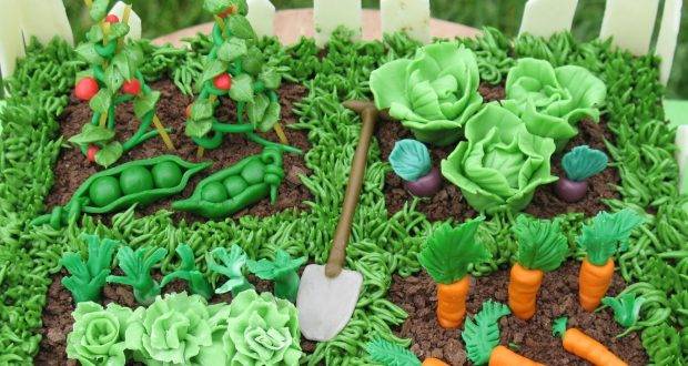 Kitchen gardening provides healthy vegetables