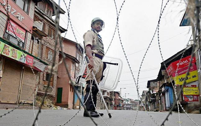 Int'l community, UN merely issuing statements on Kashmir: Shireen Mazari