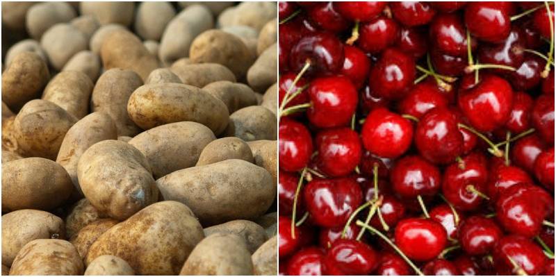China to import potato, cherry, wheat from Pakistan: Ambassador
