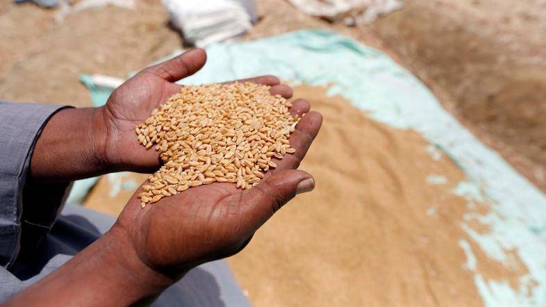 Pakistan doubles its wheat contribution to SAARC food bank