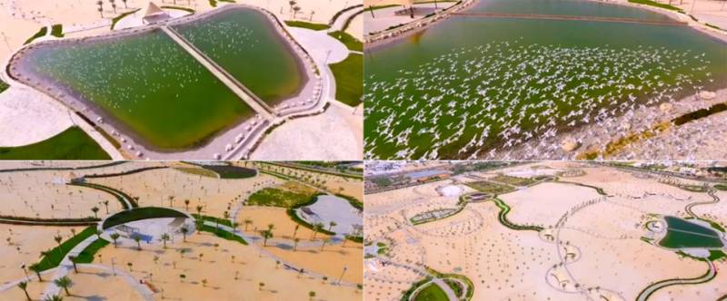 Dubai inaugrates 'Al Quran Park' showcasing miracles of Islam