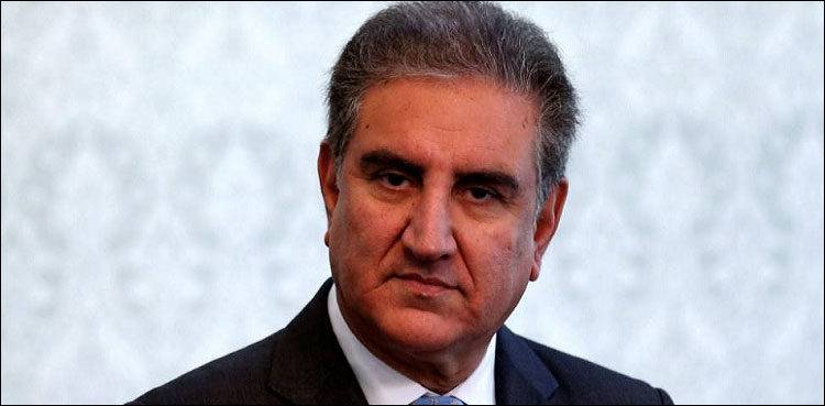 Pakistan to maintain credible minimum deterrence to ensure national security: FM Qureshi