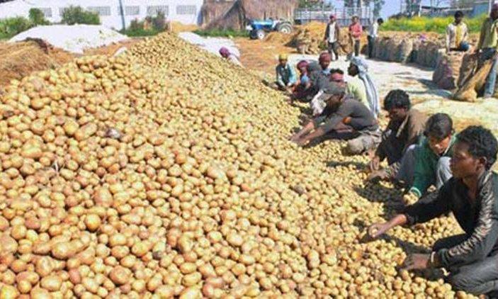 PepsiCo offers out of court settlement with Indian potato farmers for Lays controversy
