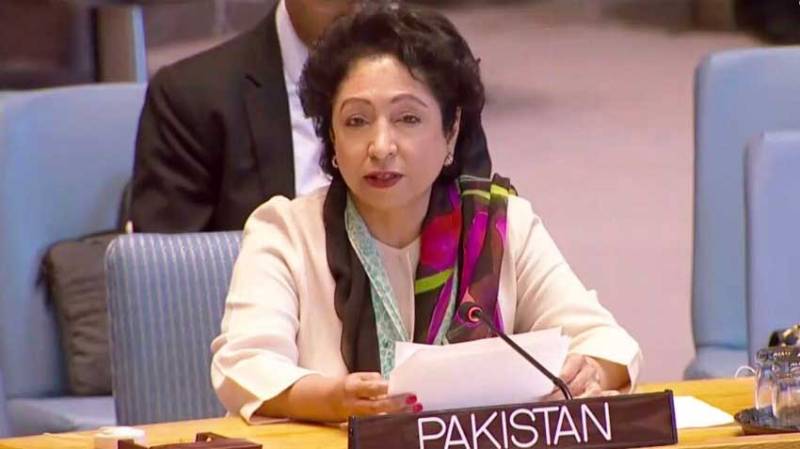 Pakistan calls for international unity at UNSC to address root cause of conflicts