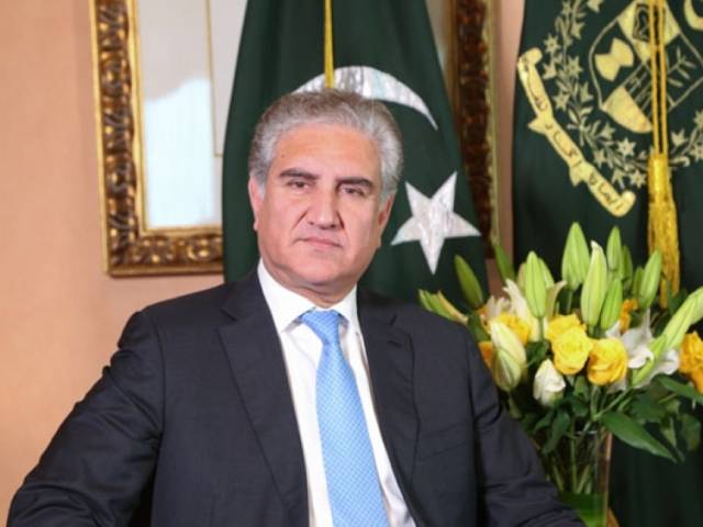 Solution to challenges facing Muslim Ummah lies in unity, joint efforts: FM Qureshi
