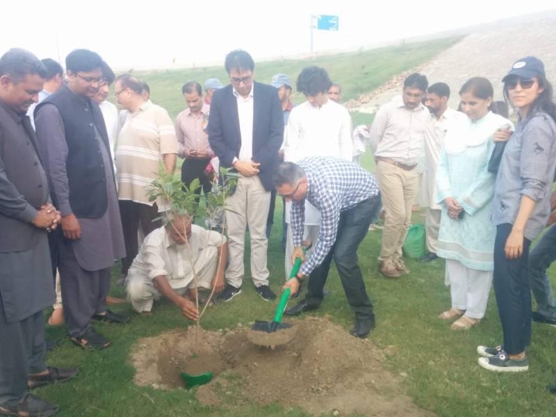 WWF-Pakistan starts large scale tree plantation drive in Lahore