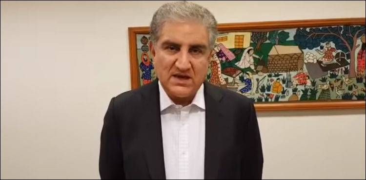 Kashmiri people are not alone in their just struggle for right to self-determination: FM Qureshi
