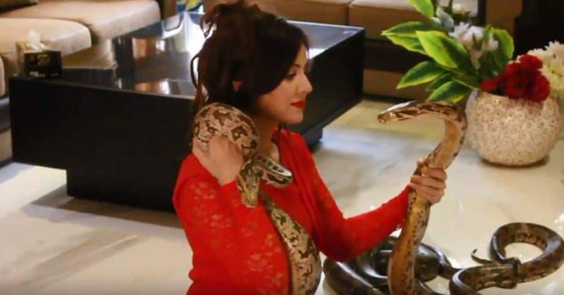 Rabi Pirzada denies being served a notice for taming reptiles