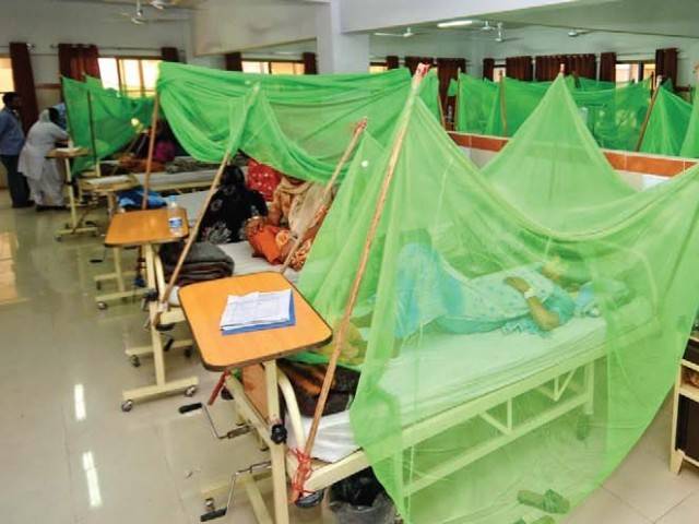 Over 3300 Dengue cases reported across Punjab in 2019, confirms health department