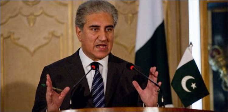 FM Qureshi urges JUI-F chief to review 'Azadi March' date