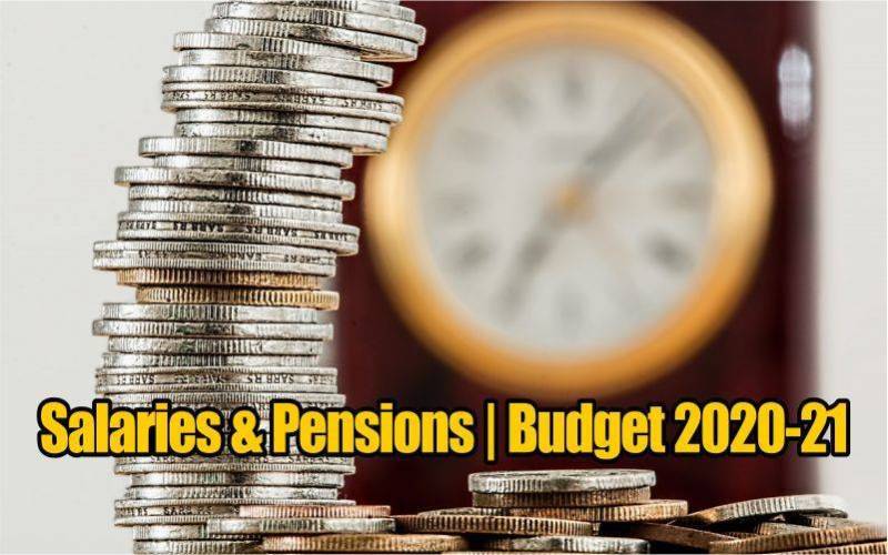 No increase in salaries or pensions in Pakistan's Budget 20-21