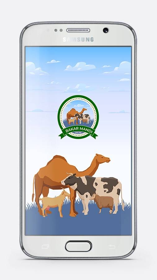 Bakarmandi app launched in Punjab for online buying, selling of cattles for  Eid ul Azha