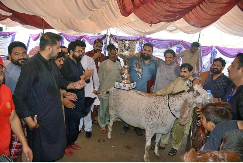 'Shehzada' wins animals' beauty contest