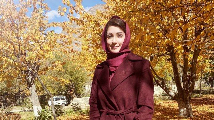 Establishment has indirectly contacted for dialogue, claims Maryam Nawaz