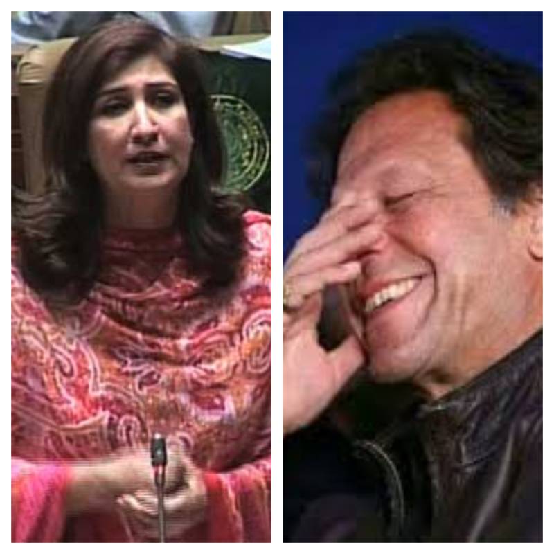 Shehla Raza criticises PM Imran in 'Kashmir Day' tweet before deleting it