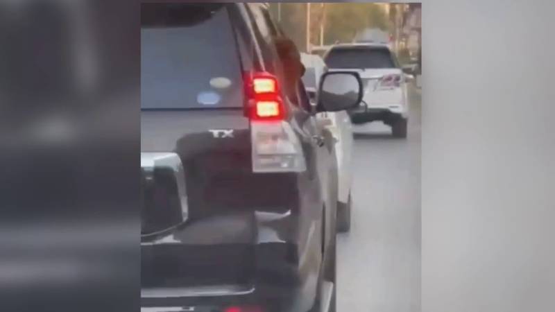 Dog rides in Sindh governor’s SUV with police escort, IT minister shoots video and posts it online