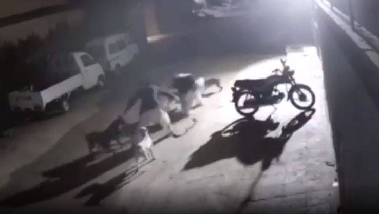 WATCH – Old man severely mauled by pack of dogs in Karachi