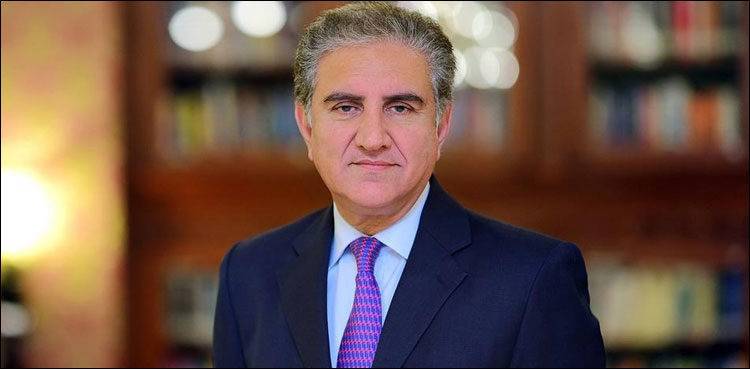 Pakistani FM Qureshi embarks on two-day visit to Egypt
