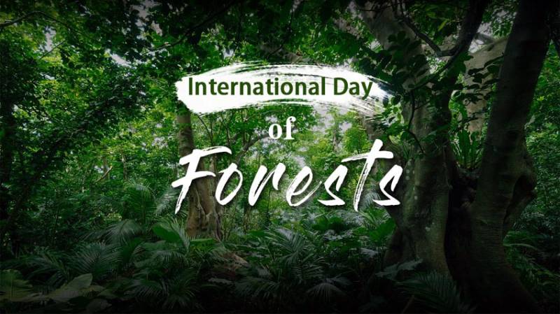 Pakistan vows to protect trees on International Forest Day 2021 
