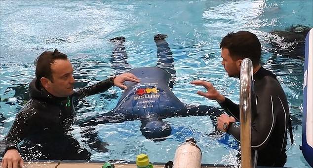 world record for holding breath underwater