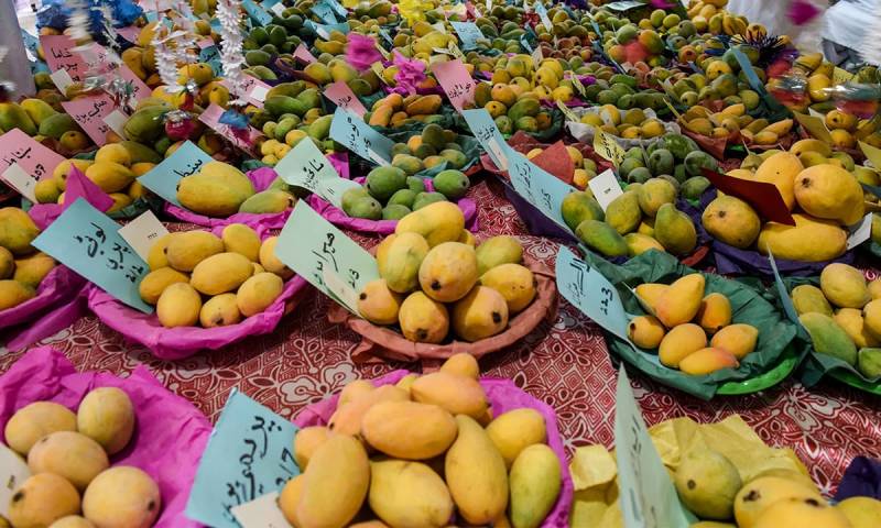 Pakistani mangoes set to enter Australian market: Razak Dawood