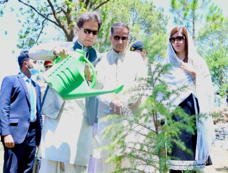 PM Imran plants the first billionth tree under Pakistan’s 10 Billion Tree Tsunami project