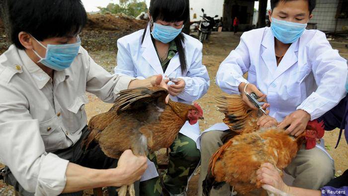 China reports world's first case of human infection with H10N3 bird flu