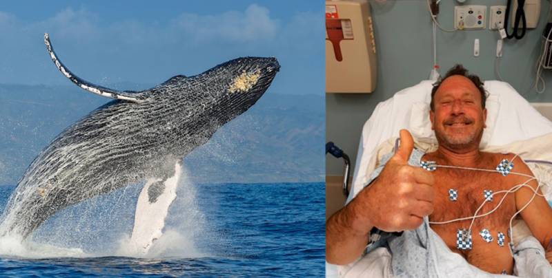WATCH - US diver survives being swallowed alive by a humpback whale