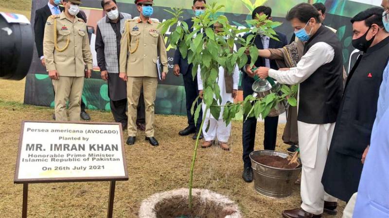 PM Imran launches countrywide monsoon plantation drive