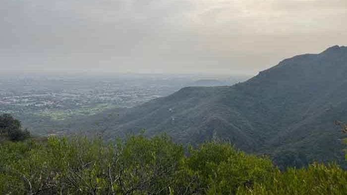 Pakistan to set up Asia’s first leopard reserve at Margalla Hills National Park