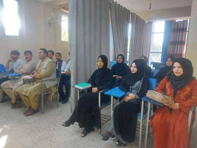 Male and female students segregated by curtains as Afghan universities continue classes under Taliban