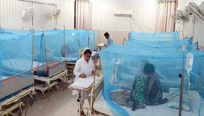 Punjab declares medical emergency in Lahore amid rise in dengue cases