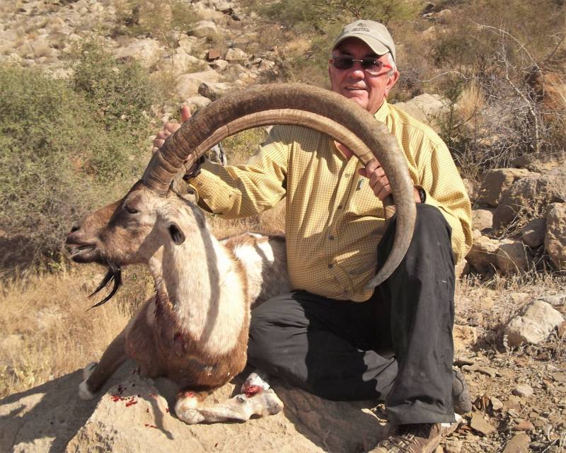 Markhor hunting permit auctioned off at record price