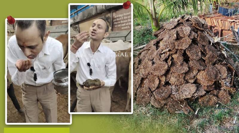 Indian doctor eats cow dung on camera to ‘prove its benefits’, video goes viral