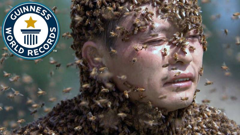 Chinese man covers entire body in 0.67 million bees for world record (VIDEO)