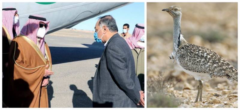 Pakistani court summons Arab prince, members of entourage for hunting protected birds