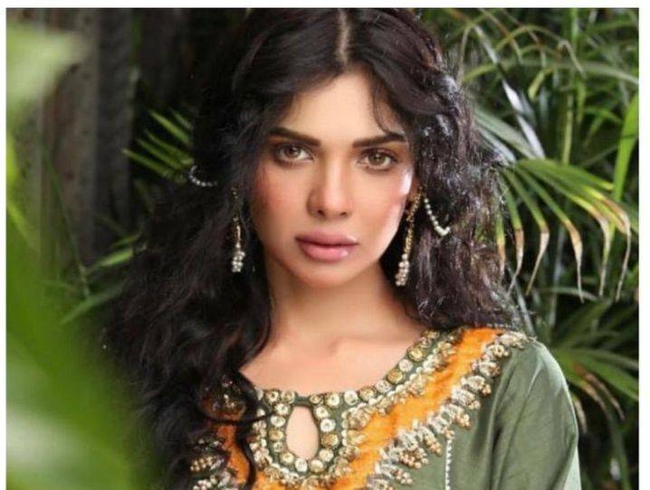 Sara Loren tells why she wasn't being offered roles in Pakistani dramas