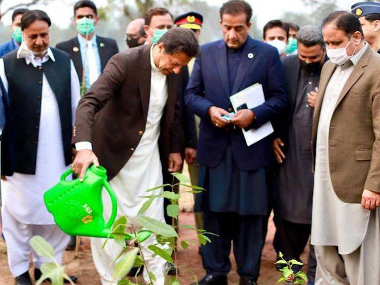 ‘Proud of my team,’ says PM Imran as UN hails Pakistan’s billion tree project