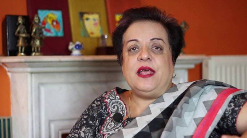 PTI's Shireen Mazari arrested by anti-corruption officials in Islamabad
