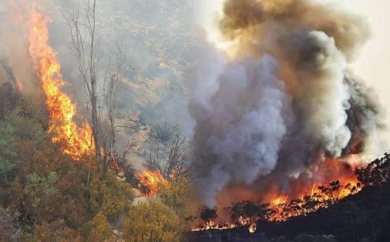 KP govt declares emergency as forest fire continues to grow at Koh-e-Suleman 