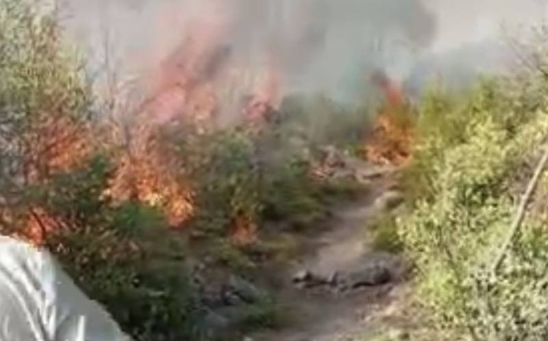PM Shehbaz takes notices of bush fires in Margalla Hills