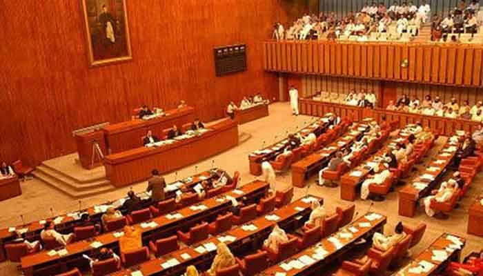 Senate passes bills to amend elections and NAB laws