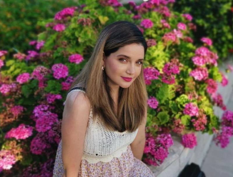 Armeena Khan responds to moral brigade trolling women for what they wear