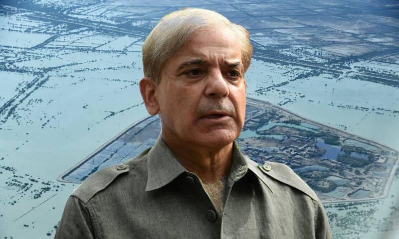 Pakistan has turned into a ‘sea’ after flooding, says PM Shehbaz 