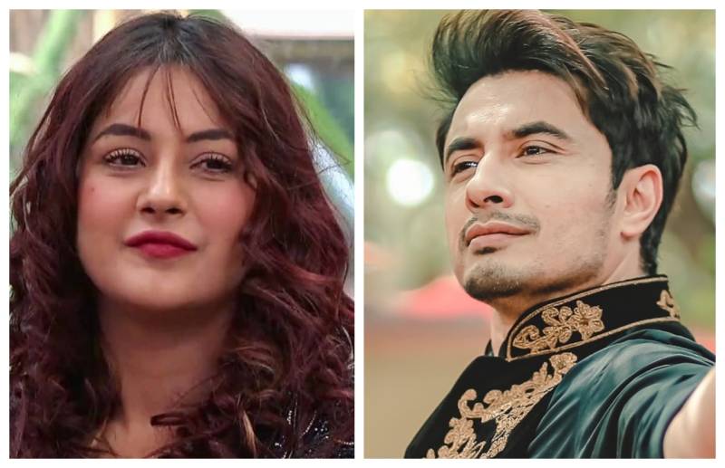 Ali Zafar would love to collaborate with Shehnaaz Gill for a music video
