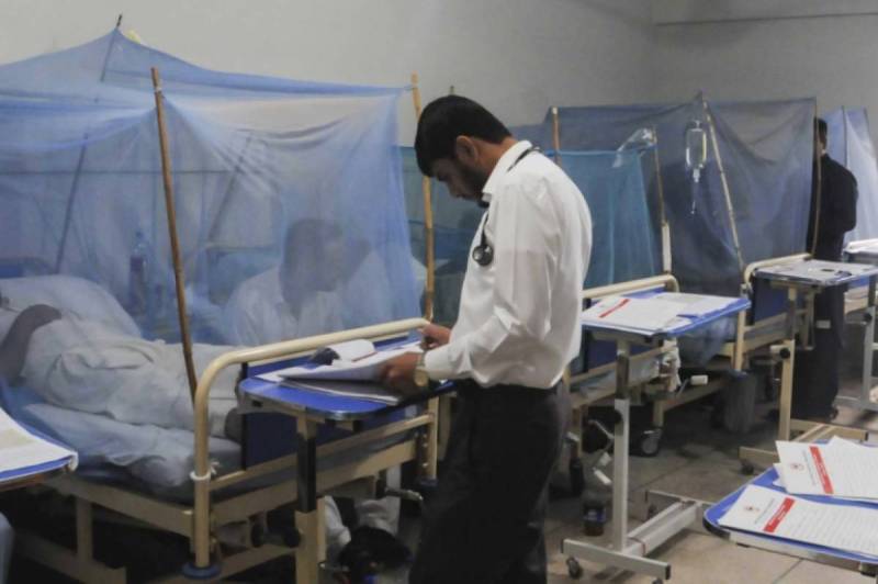 KP announces free dengue tests after recent outbreak